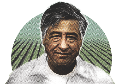 illustration of cesar chavez